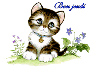 Gif animé Bon jeudi chat